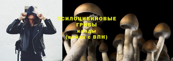 герыч Липки