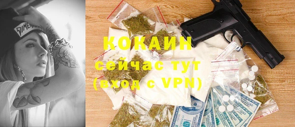 твердый Лиски