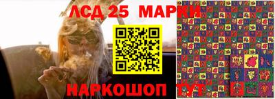 гидропоника Донецк