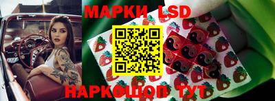 дмт Заводоуковск