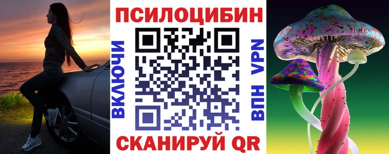 блэк спрут вход  darknet Telegram  Малгобек  Псилоцибиновые грибы прущие грибы  сколько стоит 