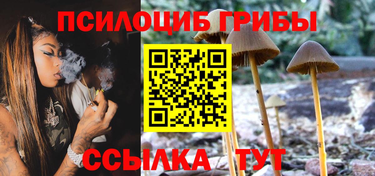 Псилоцибиновые грибы Psilocybe  Галлюциногенные грибы Magic Shrooms  Малгобек 