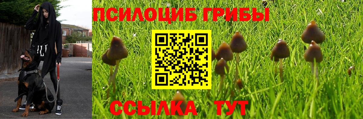 Малгобек  Галлюциногенные грибы мухоморы  сколько стоит  Вход с VPN  Галлюциногенные грибы мухоморы 