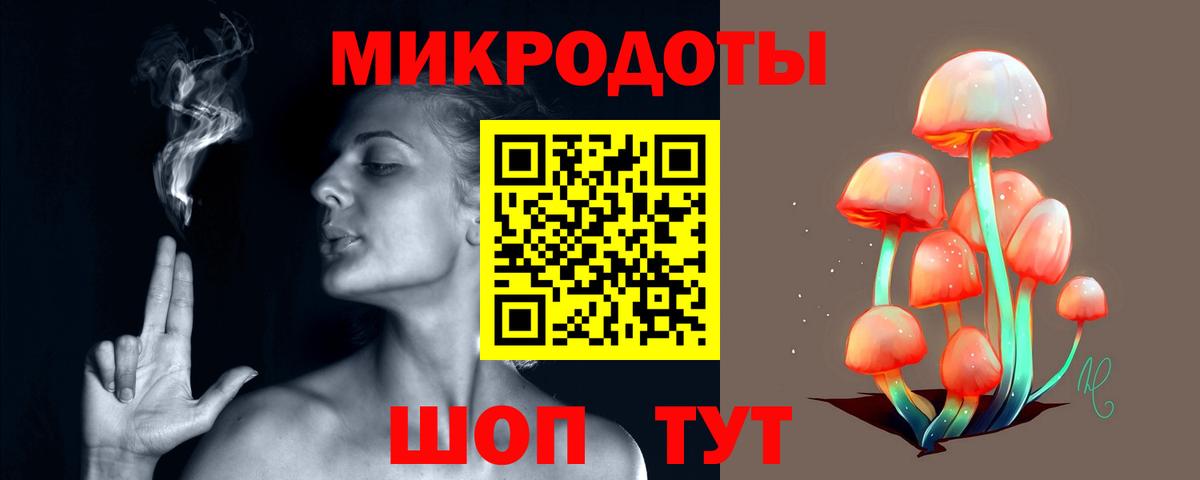 Галлюциногенные грибы Psilocybe Малгобек