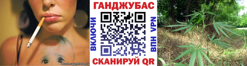 Бошки Шишки планчик  Малгобек 